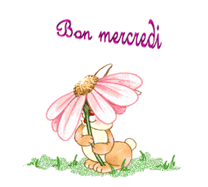 Gif animé Bon mercredi lapin